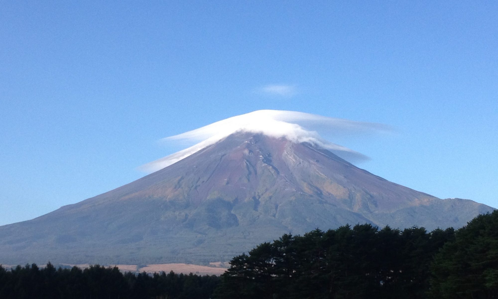 こころのことのは